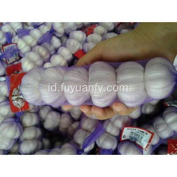 Seluruh bawang putih dengan harga lebih murah